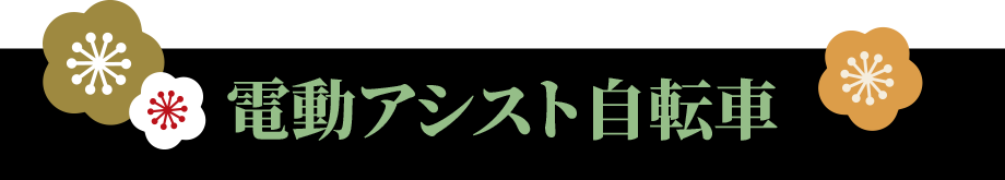 電動アシスト自転車